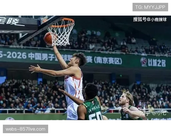 深圳男篮签下阿利兹约翰逊 锋线运动能力与篮板保护增强 深圳男篮签下阿利兹约翰逊 锋线运动能力与篮板保护增强